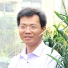 Prof. Dr. Yinglong Chen avatar image