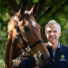 Dr. Robin Van den Boom avatar image