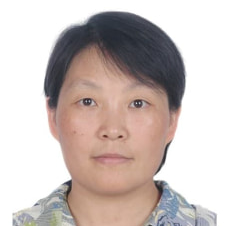 Prof. Dr. Hui Shang avatar image