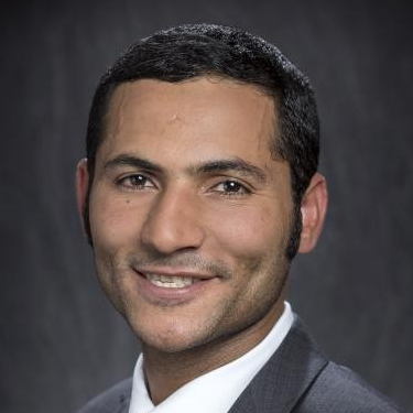 Dr. Aly-Mousaad Aly avatar image