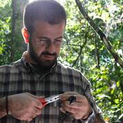 Dr. Andrea Galimberti avatar image