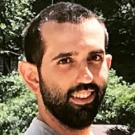 Dr. Davide Castellano avatar image