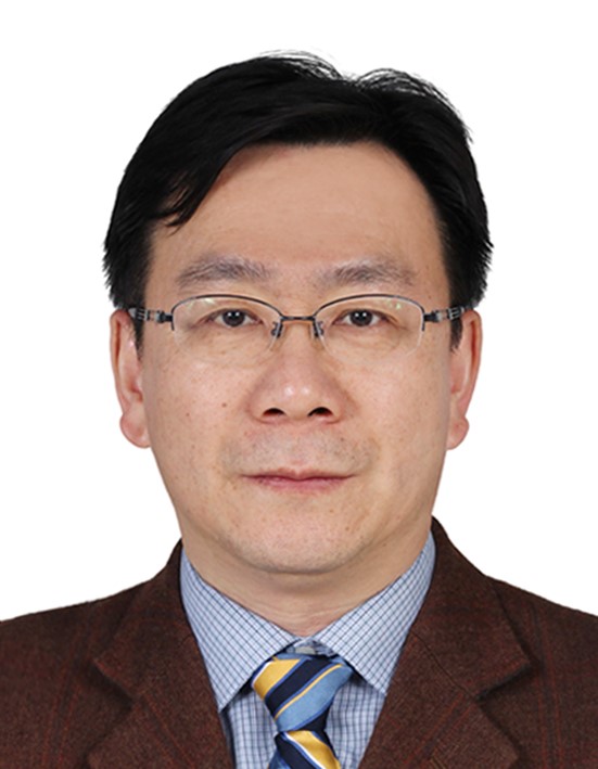 Prof. Dr. Qing Liu avatar image