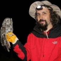 Dr. Tamer Albayrak avatar image