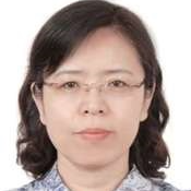 Prof. Dr. Qi Zhao avatar image