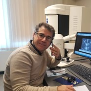 Dr. Fabio D'Agostino avatar image