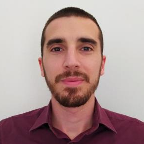 Dr. Matteo Antelmi avatar image