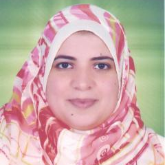 Dr. Dalia El Amir Mohamed avatar image