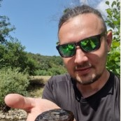 Dr. Dariusz Halabowski avatar image