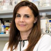 Dr. Valeria Carola avatar image