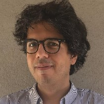 Prof. Dr. Francesco Guarino avatar image