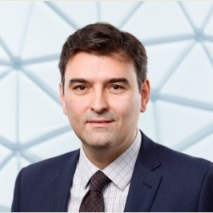 Dr. Vassilis Karamanavis avatar image