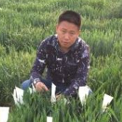 Prof. Dr. Fa Cui avatar image