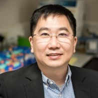 Prof. Dr. Mo Yang avatar image