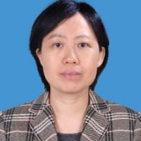 Prof. Dr. Hong Li avatar image