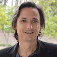 Prof. Dr. Marcus Randall avatar image