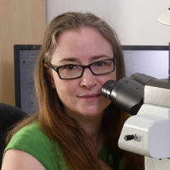 Dr. Marie-Odile Benoit-Biancamano avatar image