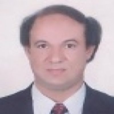 Prof. Dr. Elmetwally M. E. Elabbasy avatar image