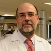 Prof. Dr. Francisco J. Romero avatar image