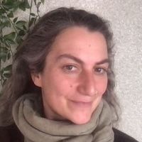 Dr. Ayse Demirkan avatar image