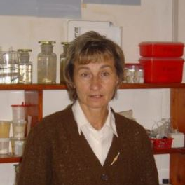 Prof. Dr. Pyrzyńska Krystyna avatar image