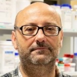 Dr. Miguel Angel Centeno avatar image