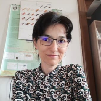 Dr. Monica Baia avatar image