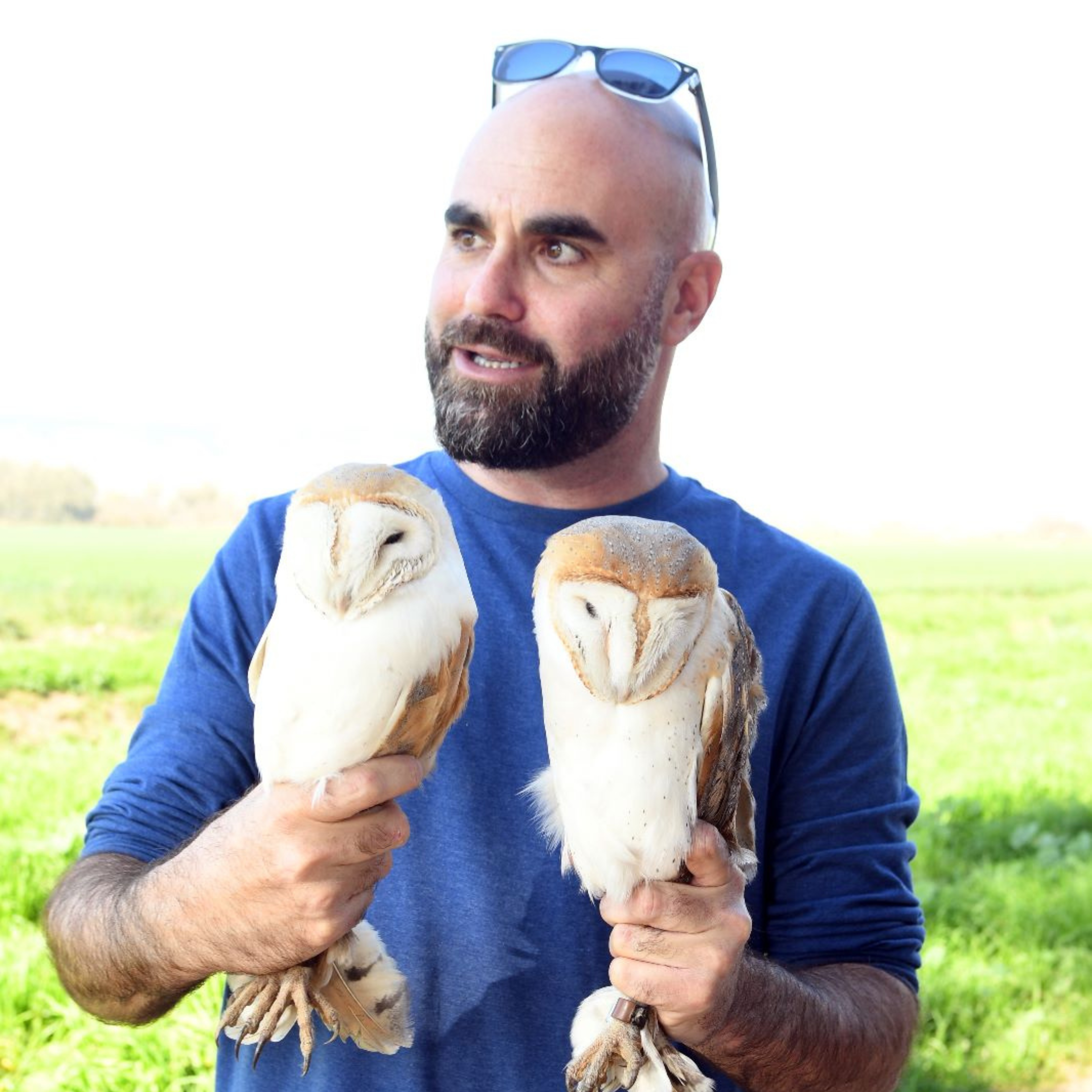 Dr. Motti Charter avatar image