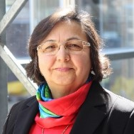 Prof. Dr. I. Sevil Sariyildiz avatar image