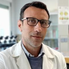 Prof. Dr. Daniel Palmero Llamas avatar image