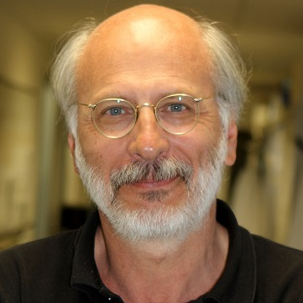 Prof. Dr. Vincenzo Sorrentino avatar image