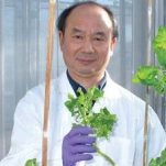 Dr. Xianzhou Nie avatar image