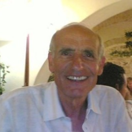 Prof. Dr. Ferdinando Palmieri avatar image