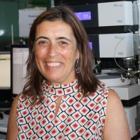 Dr. Alexandra Maria Moita Antunes avatar image