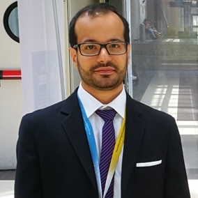 Dr. Domenico Curto avatar image