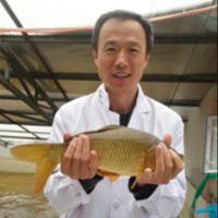 Prof. Dr. Qiyou Xu avatar image