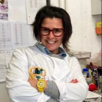 Dr. Carolina S. Marques avatar image