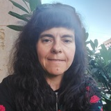 Prof. Dr. Dagmar Haase avatar image