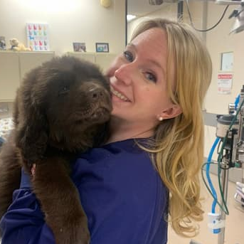 Dr. Joni Meehan avatar image