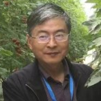 Prof. Dr. Weijie Jiang avatar image