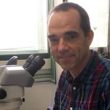 Dr. Peter Askjaer avatar image