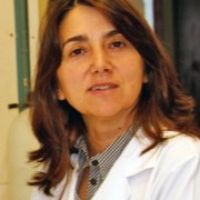 Dr. Alice S. Pereira avatar image