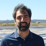 Prof. Dr. Tiago Verdelhos avatar image