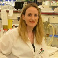 Dr. Eleni Petsalaki avatar image