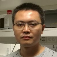Dr. Xiaolin Wang avatar image