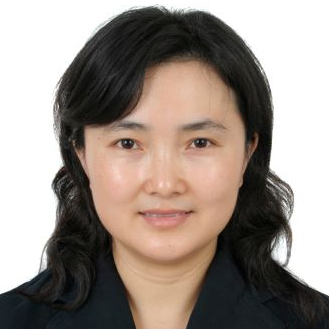 Dr. Yan Lei avatar image