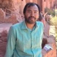 Dr. Pinku Roy avatar image