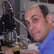 Prof. Giovanni Pennelli avatar image