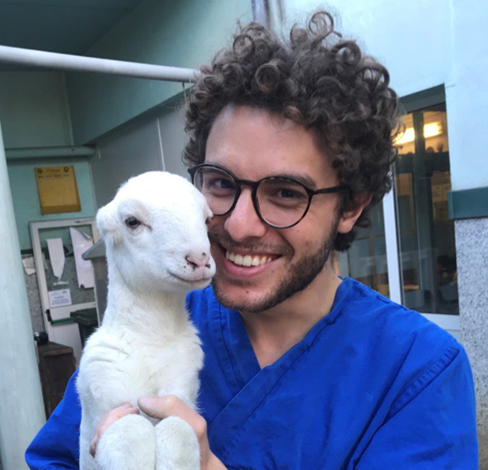 Dr. Matteo Serpieri avatar image