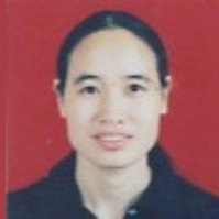 Dr. Shufang Wang avatar image